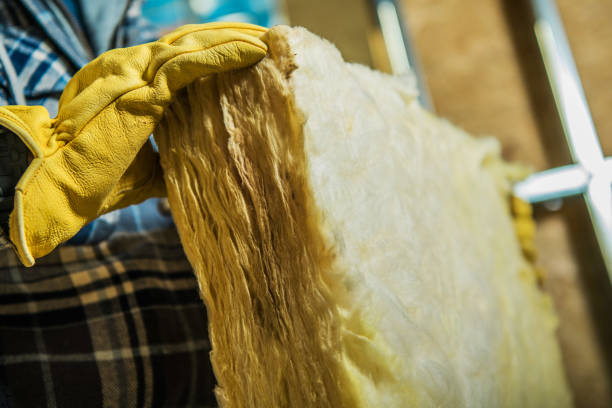 Best Crawl Space Insulation  in Nora Springs, IA